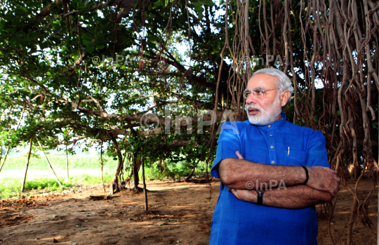 Narendra Modi visited the auspicious 500 year old Banyan Tree