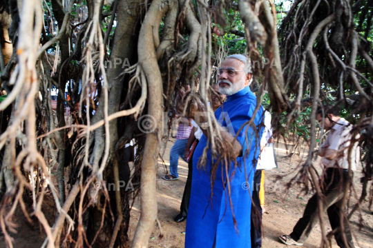 Narendra Modi visited the auspicious 500 year old Banyan Tree