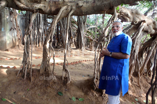 Narendra Modi visited the auspicious 500 year old Banyan Tree