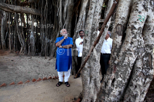 Narendra Modi visited the auspicious 500 year old Banyan Tree