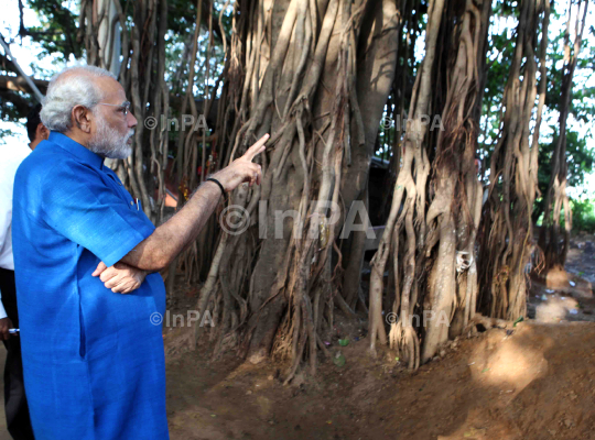 Narendra Modi visited the auspicious 500 year old Banyan Tree