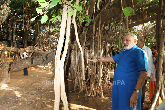 Narendra Modi visited the auspicious 500 year old Banyan Tree