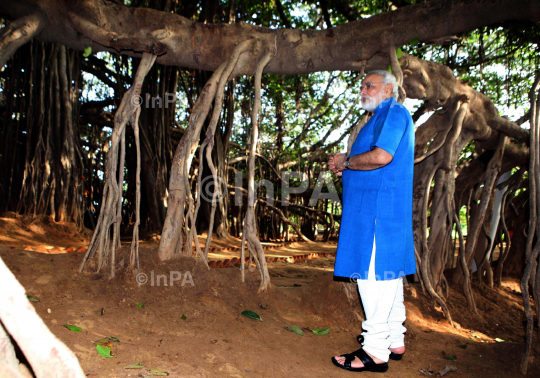 Narendra Modi visited the auspicious 500 year old Banyan Tree