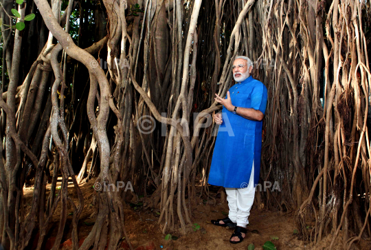 Narendra Modi visited the auspicious 500 year old Banyan Tree