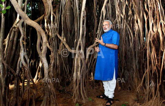 Narendra Modi visited the auspicious 500 year old Banyan Tree