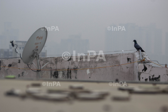 Noida Smog, Dish antenna for TV