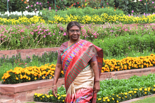 President Droupadi Murmu