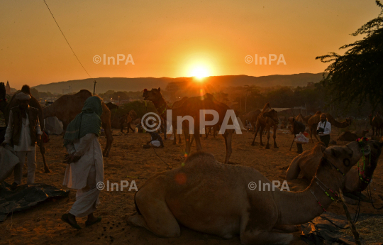 Pushkar Fair 2021