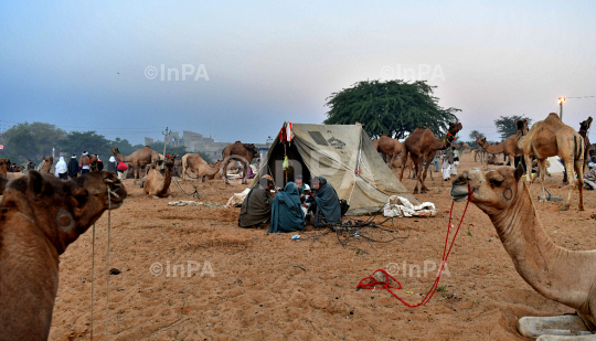 Pushkar Fair