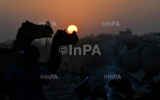 Pushkar Fair