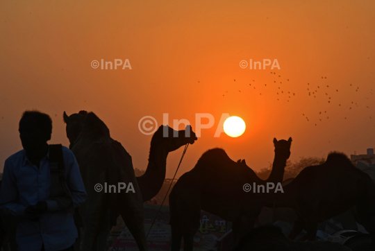 Pushkar Fair, Rajasthan