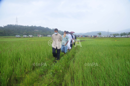 Rahul Gandhi at his parliamentary constituency, Wayanad