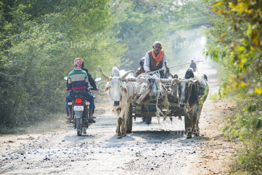 Rural India