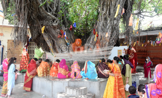 Vat Savitri Festival