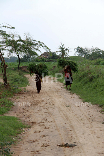 Village Life