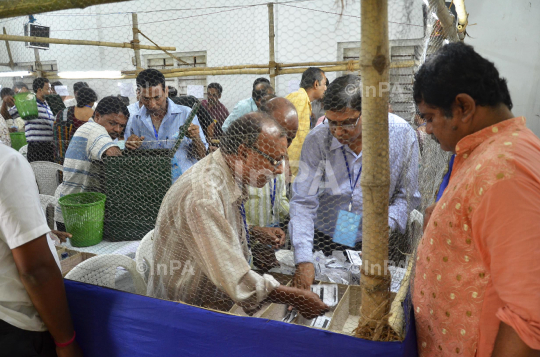 West Bengal panchayat election