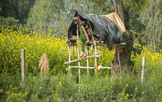 Woman Farmer