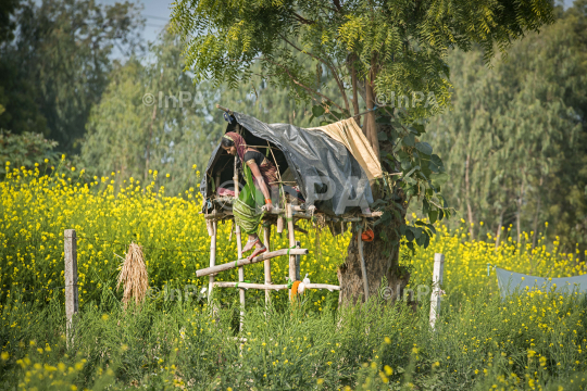 Woman Farmer