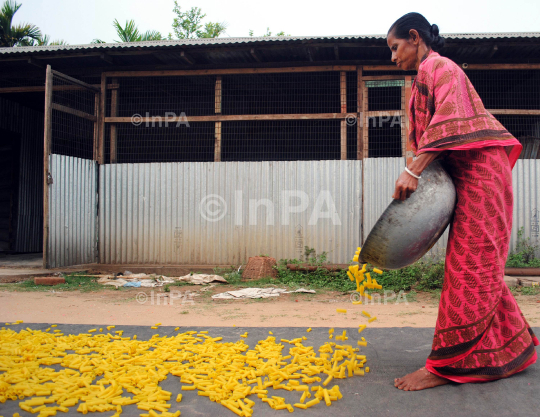 Womens busy in drying Finger chips Papads 