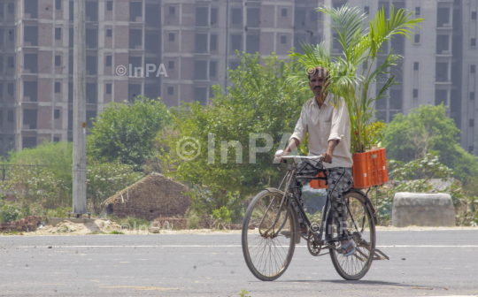 World Bicycle Day