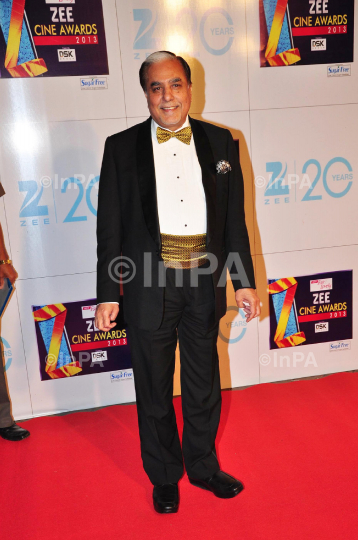 Zee Cine Awards 2013, red carpet