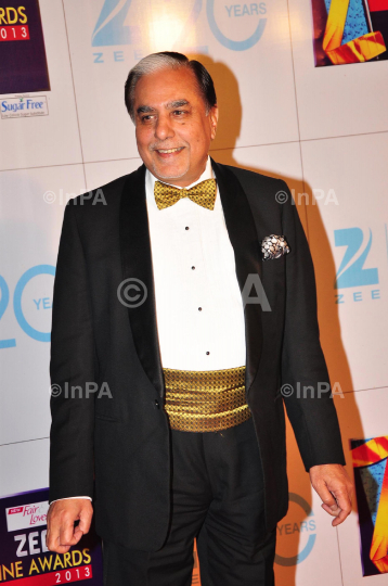 Zee Cine Awards 2013, red carpet