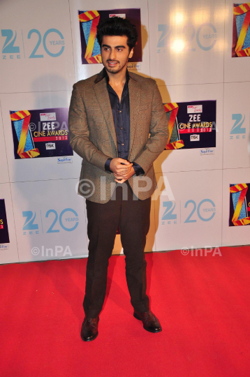 Zee Cine Awards 2013, red carpet