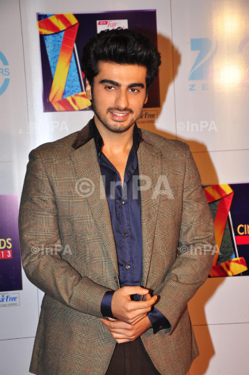 Zee Cine Awards 2013, red carpet